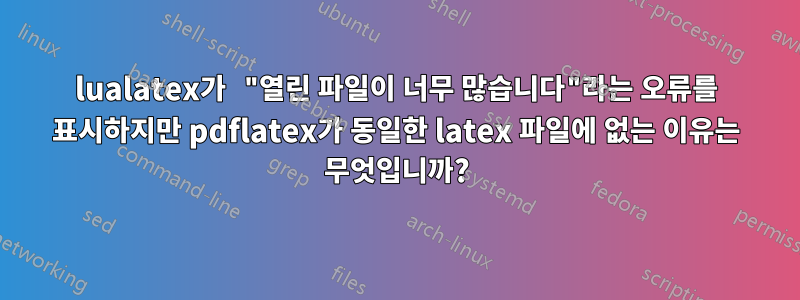 lualatex가 "열린 파일이 너무 많습니다"라는 오류를 표시하지만 pdflatex가 동일한 latex 파일에 없는 이유는 무엇입니까?