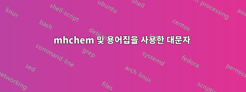 mhchem 및 용어집을 사용한 대문자