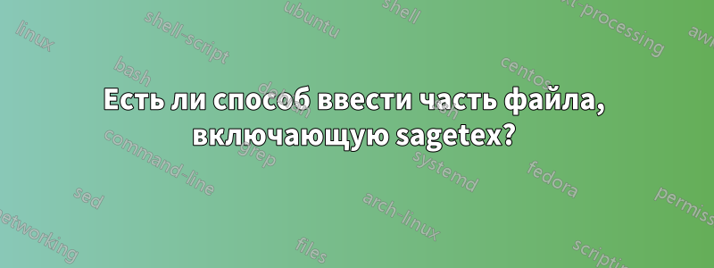 Есть ли способ ввести часть файла, включающую sagetex?