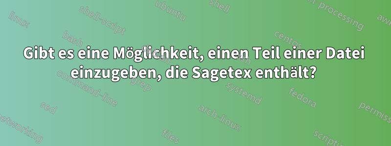 Gibt es eine Möglichkeit, einen Teil einer Datei einzugeben, die Sagetex enthält?