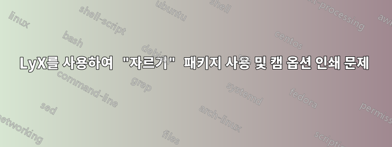 LyX를 사용하여 "자르기" 패키지 사용 및 캠 옵션 인쇄 문제