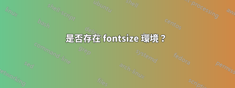 是否存在 fontsize 環境？