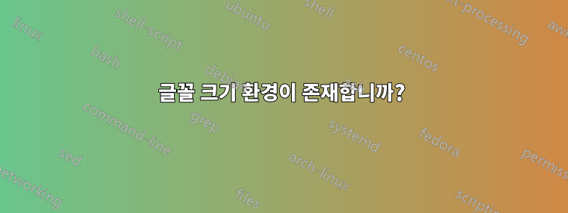 글꼴 크기 환경이 존재합니까?