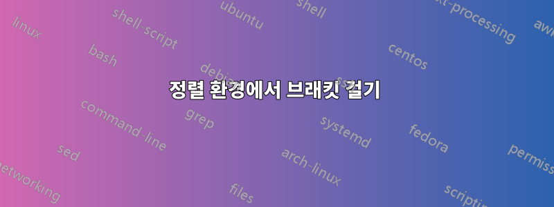 정렬 환경에서 브래킷 걸기