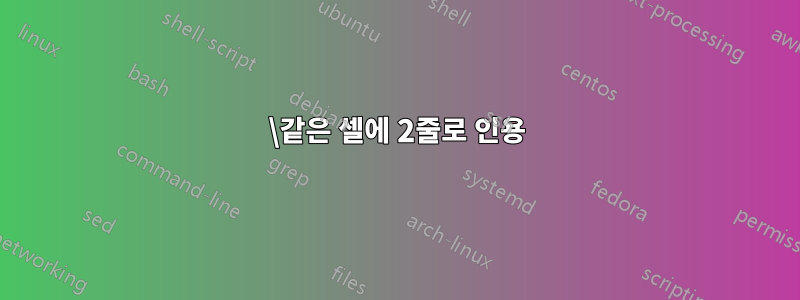 \같은 셀에 2줄로 인용