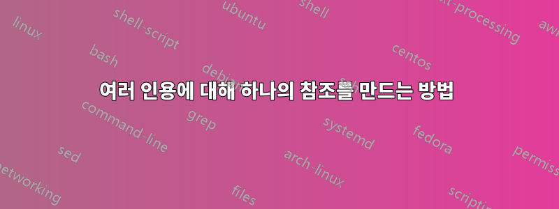 여러 인용에 대해 하나의 참조를 만드는 방법