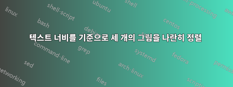 텍스트 너비를 기준으로 세 개의 그림을 나란히 정렬