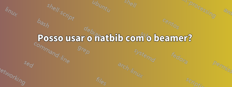 Posso usar o natbib com o beamer?