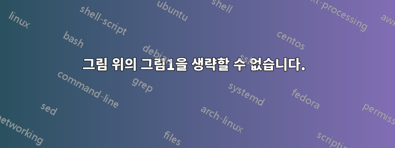 그림 위의 그림1을 생략할 수 없습니다. 