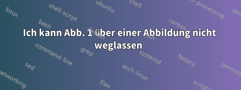 Ich kann Abb. 1 über einer Abbildung nicht weglassen 