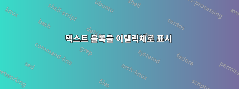 텍스트 블록을 이탤릭체로 표시