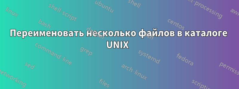 Переименовать несколько файлов в каталоге UNIX 