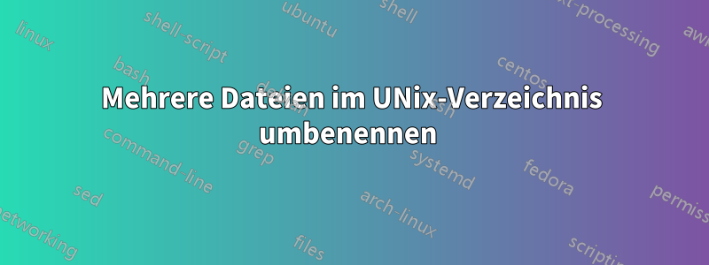 Mehrere Dateien im UNix-Verzeichnis umbenennen 