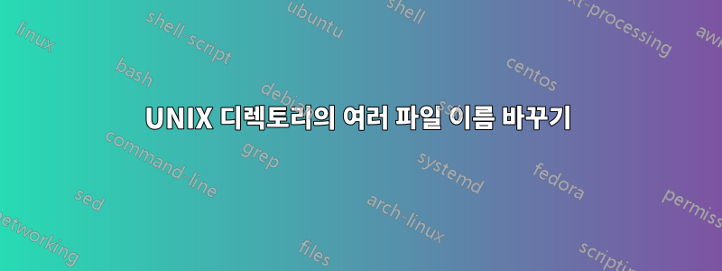 UNIX 디렉토리의 여러 파일 이름 바꾸기