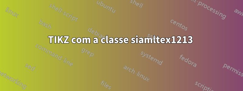 TIKZ com a classe siamltex1213