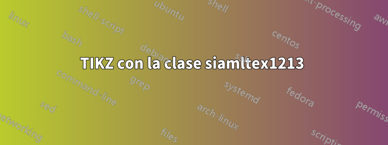 TIKZ con la clase siamltex1213