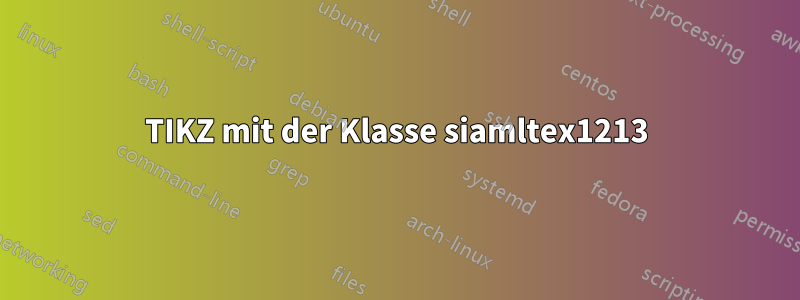TIKZ mit der Klasse siamltex1213