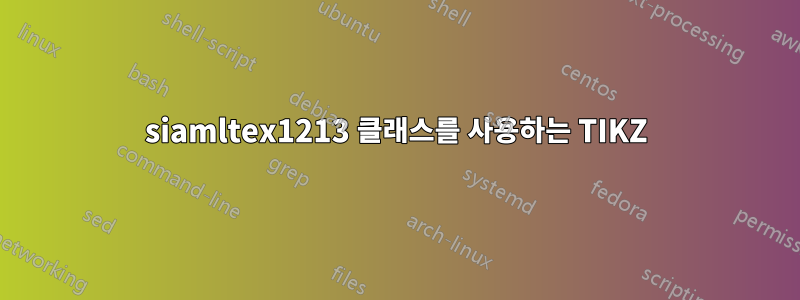 siamltex1213 클래스를 사용하는 TIKZ