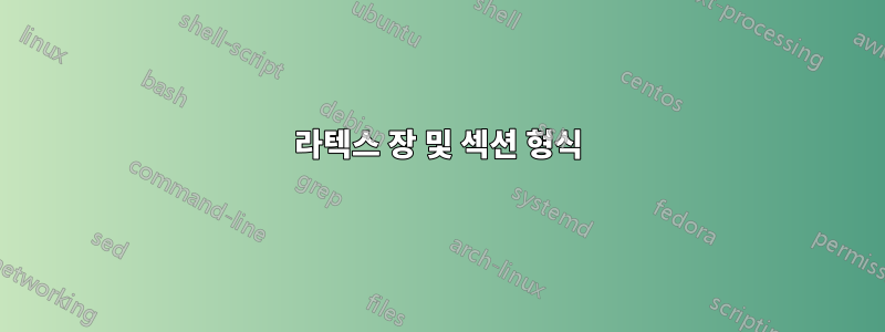 라텍스 장 및 섹션 형식