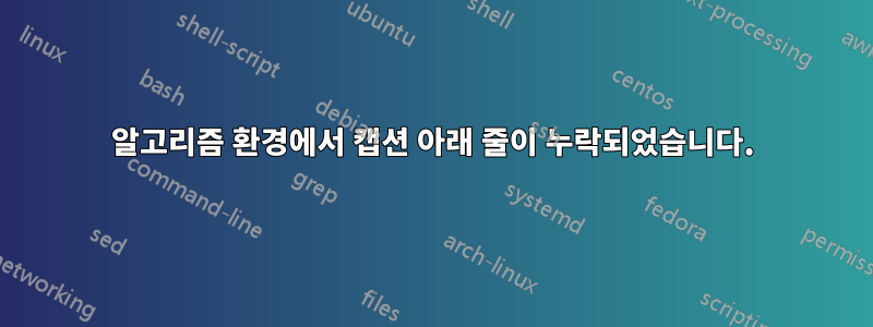 알고리즘 환경에서 캡션 아래 줄이 누락되었습니다.