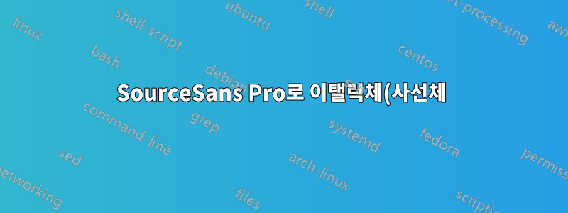 SourceSans Pro로 이탤릭체(사선체)를 표시하는 방법은 무엇입니까?