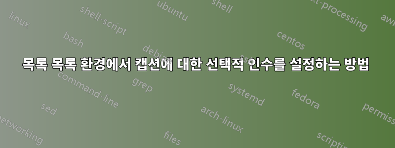 목록 목록 환경에서 캡션에 대한 선택적 인수를 설정하는 방법