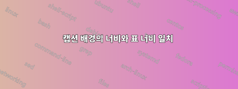 캡션 배경의 너비와 표 너비 일치