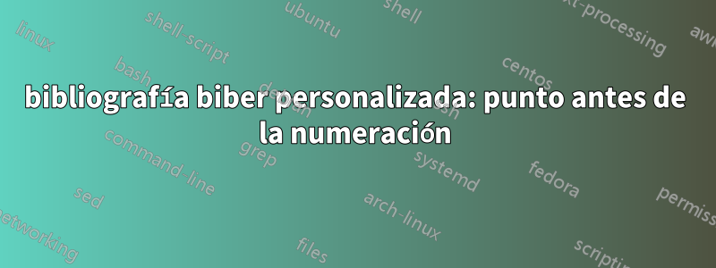 bibliografía biber personalizada: punto antes de la numeración