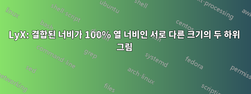 LyX: 결합된 너비가 100% 열 너비인 서로 다른 크기의 두 하위 그림