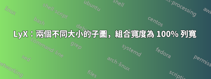 LyX：兩個不同大小的子圖，組合寬度為 100% 列寬