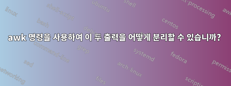 awk 명령을 사용하여 이 두 출력을 어떻게 분리할 수 있습니까?