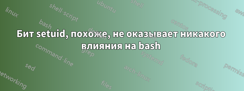 Бит setuid, похоже, не оказывает никакого влияния на bash