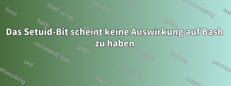 Das Setuid-Bit scheint keine Auswirkung auf Bash zu haben