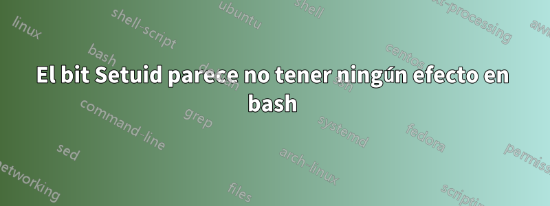 El bit Setuid parece no tener ningún efecto en bash