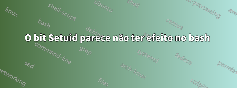 O bit Setuid parece não ter efeito no bash