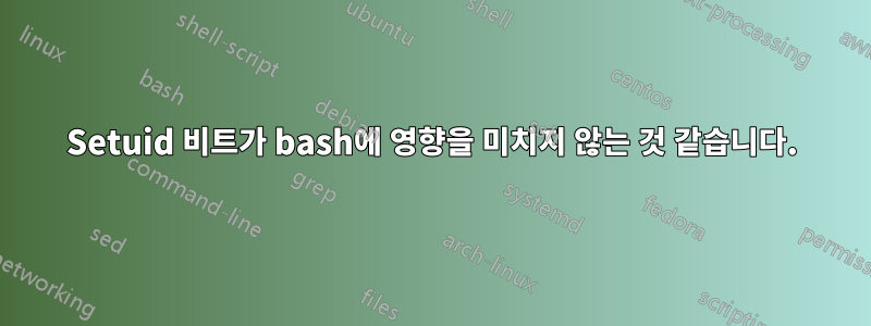 Setuid 비트가 bash에 영향을 미치지 않는 것 같습니다.