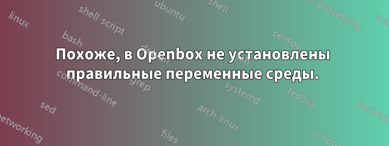 Похоже, в Openbox не установлены правильные переменные среды.