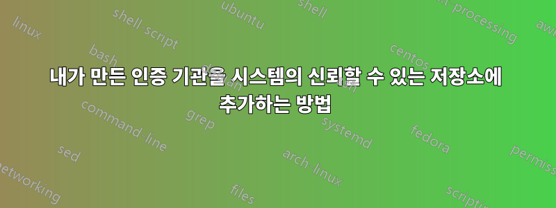 내가 만든 인증 기관을 시스템의 신뢰할 수 있는 저장소에 추가하는 방법