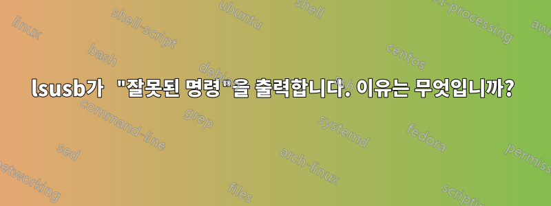 lsusb가 "잘못된 명령"을 출력합니다. 이유는 무엇입니까?