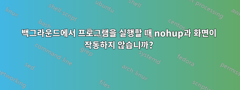 백그라운드에서 프로그램을 실행할 때 nohup과 화면이 작동하지 않습니까?