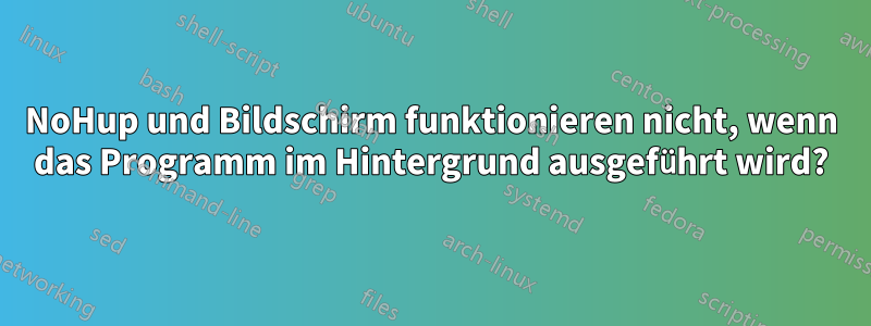 NoHup und Bildschirm funktionieren nicht, wenn das Programm im Hintergrund ausgeführt wird?