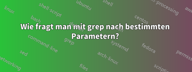 Wie fragt man mit grep nach bestimmten Parametern?