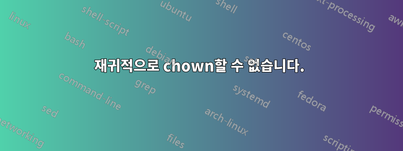 재귀적으로 chown할 수 없습니다.