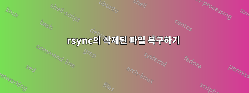 rsync의 삭제된 파일 복구하기