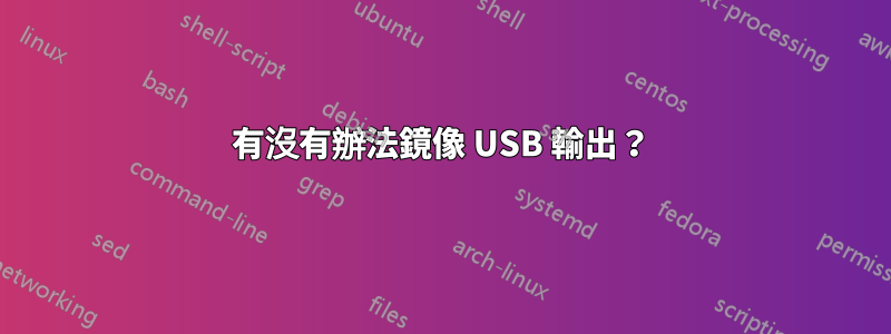 有沒有辦法鏡像 USB 輸出？