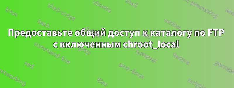 Предоставьте общий доступ к каталогу по FTP с включенным chroot_local