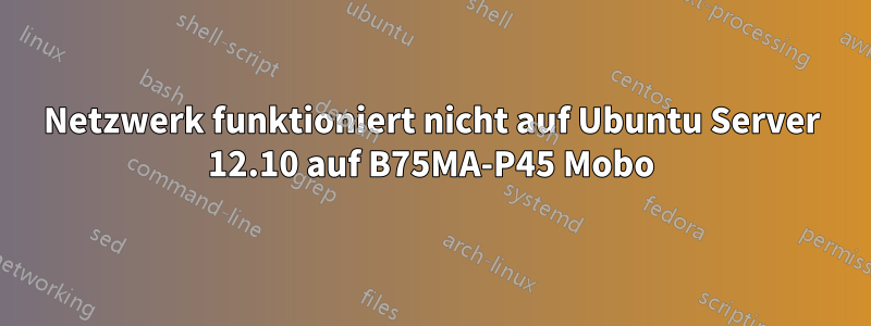 Netzwerk funktioniert nicht auf Ubuntu Server 12.10 auf B75MA-P45 Mobo