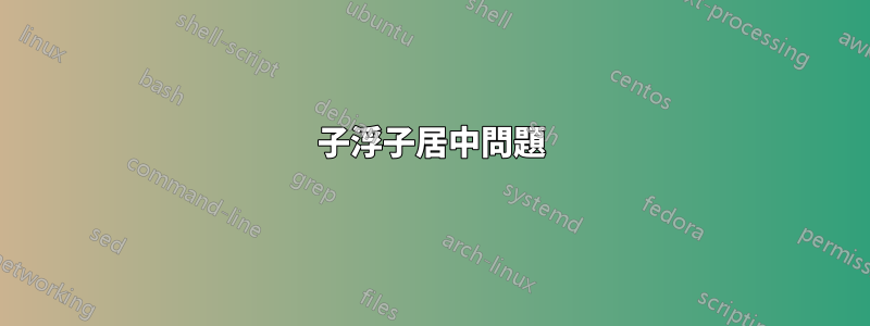 子浮子居中問題