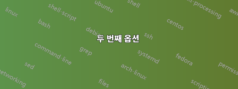 두 번째 옵션