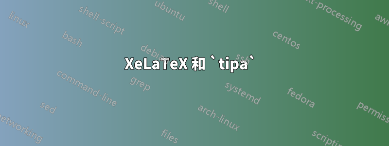 XeLaTeX 和 `tipa` 
